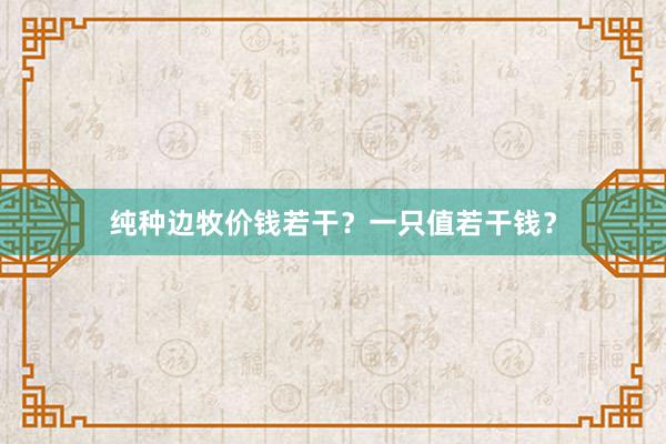 纯种边牧价钱若干？一只值若干钱？