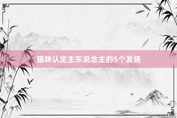 猫咪认定主东说念主的5个发扬